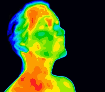 Image for False: You lose most of your body heat through your head